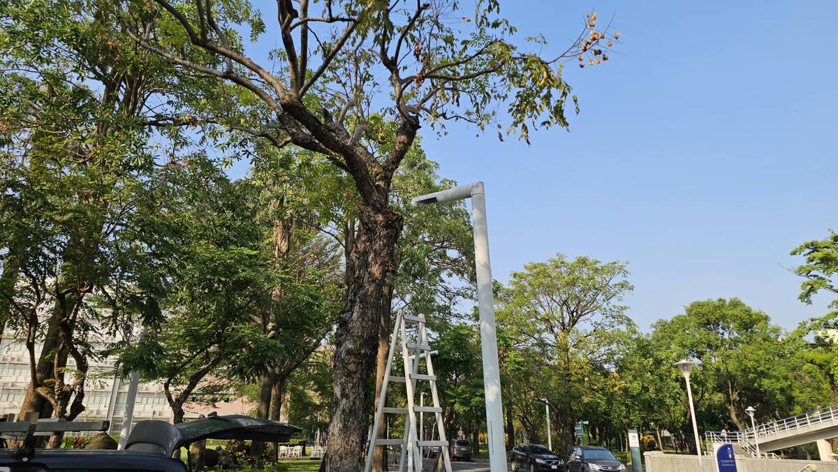 路燈維護工程01圖片